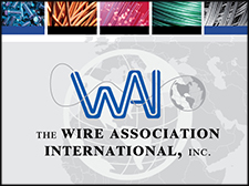 WAI Logo An illustrated image including WAI's logo and branding.